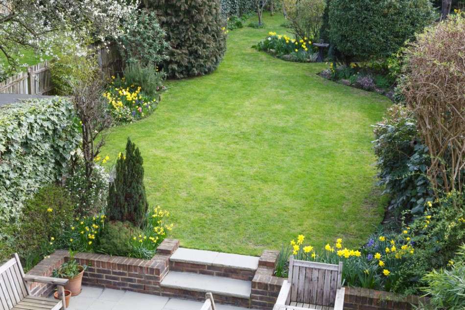Rear Green Garden